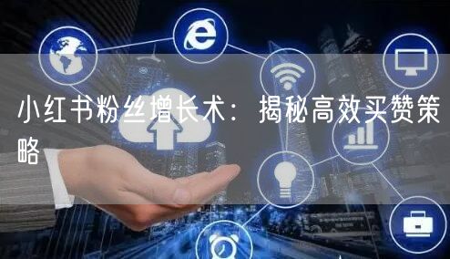 小红书粉丝增长术：揭秘高效买赞策略