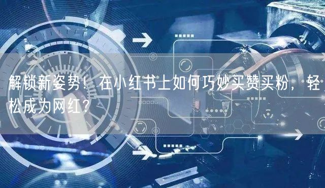 解锁新姿势！在小红书上如何巧妙买赞买粉，轻松成为网红？