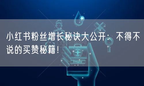 小红书粉丝增长秘诀大公开：不得不说的买赞秘籍！