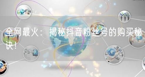 全网最火：揭秘抖音粉丝号的购买秘诀！