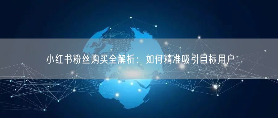 小红书粉丝购买全解析：如何精准吸引目标用户