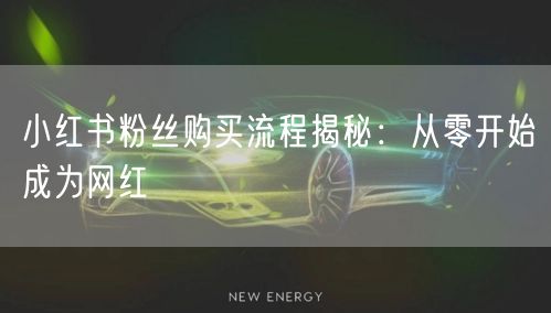 小红书粉丝购买流程揭秘：从零开始成为网红