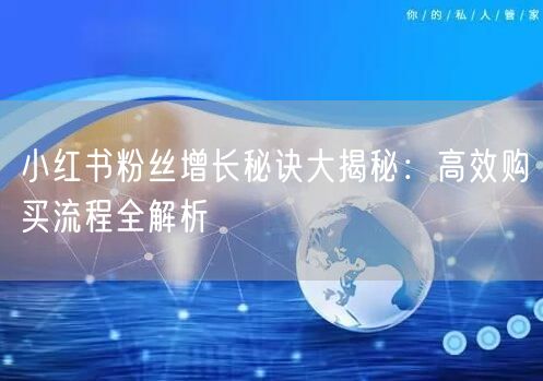 小红书粉丝增长秘诀大揭秘：高效购买流程全解析