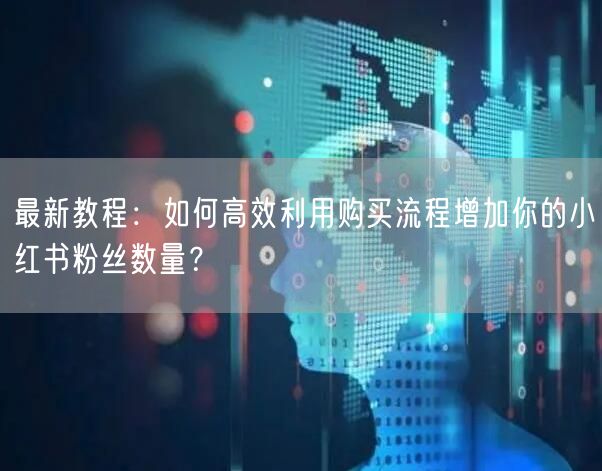 最新教程：如何高效利用购买流程增加你的小红书粉丝数量？