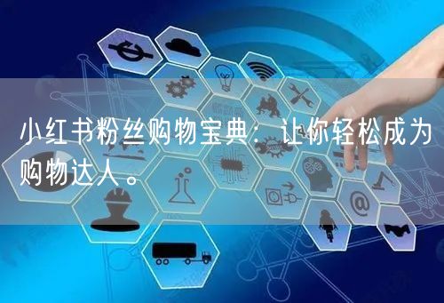 小红书粉丝购物宝典：让你轻松成为购物达人。
