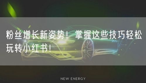 粉丝增长新姿势！掌握这些技巧轻松玩转小红书！