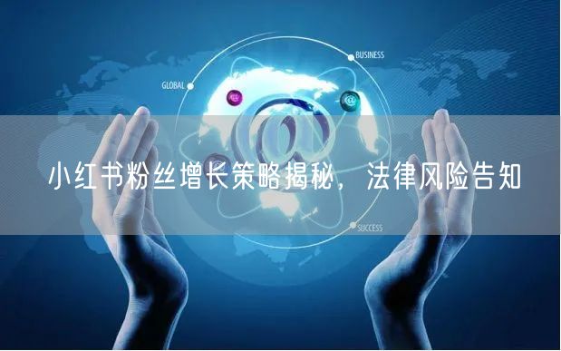 小红书粉丝增长策略揭秘，法律风险告知