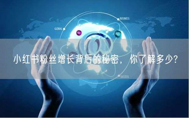 小红书粉丝增长背后的秘密，你了解多少?