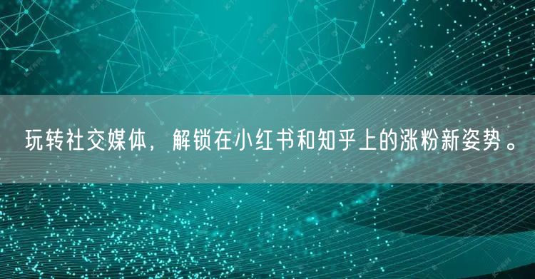 玩转社交媒体，解锁在小红书和知乎上的涨粉新姿势。