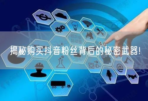 揭秘购买抖音粉丝背后的秘密武器!