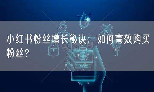 小红书粉丝增长秘诀：如何高效购买粉丝？