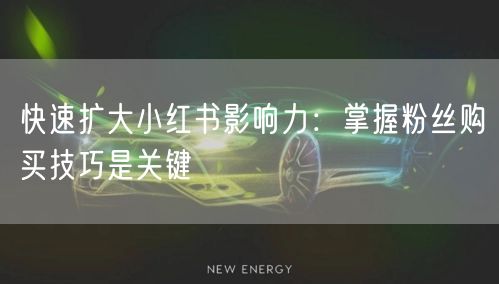 快速扩大小红书影响力：掌握粉丝购买技巧是关键