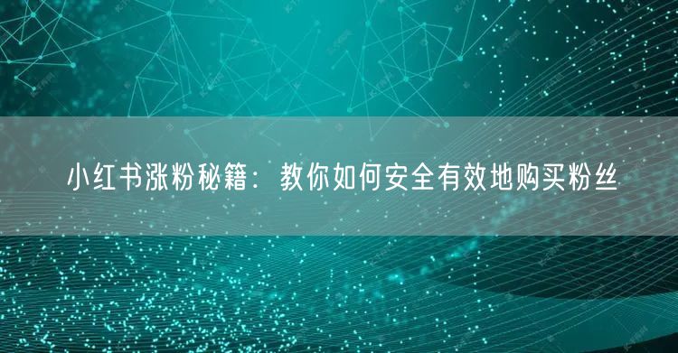 小红书涨粉秘籍：教你如何安全有效地购买粉丝