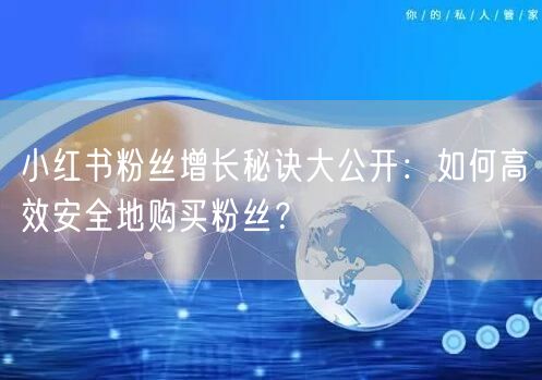 小红书粉丝增长秘诀大公开：如何高效安全地购买粉丝？