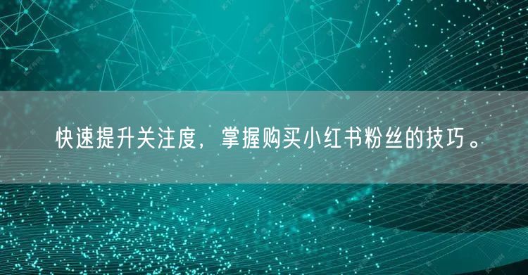 快速提升关注度，掌握购买小红书粉丝的技巧。