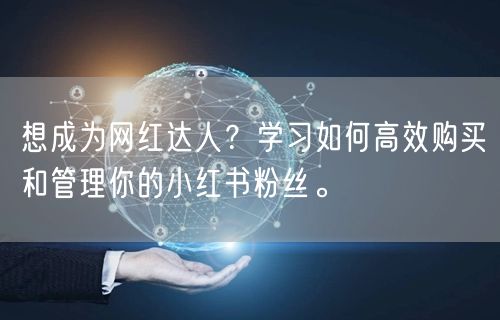 想成为网红达人？学习如何高效购买和管理你的小红书粉丝。