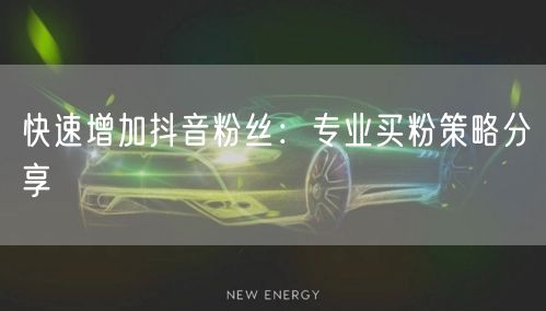 快速增加抖音粉丝：专业买粉策略分享