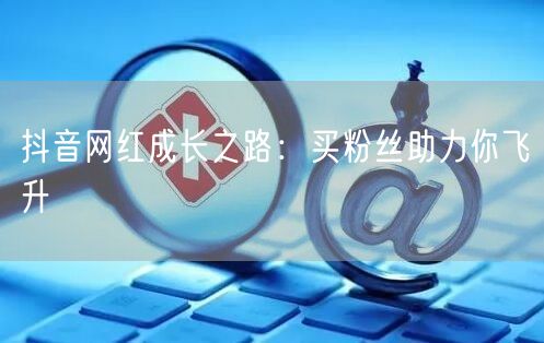 抖音网红成长之路：买粉丝助力你飞升
