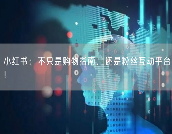 小红书：不只是购物指南，还是粉丝互动平台！