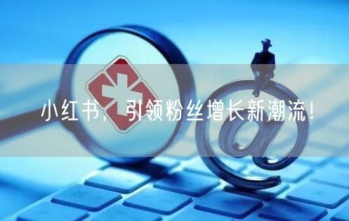 小红书，引领粉丝增长新潮流！