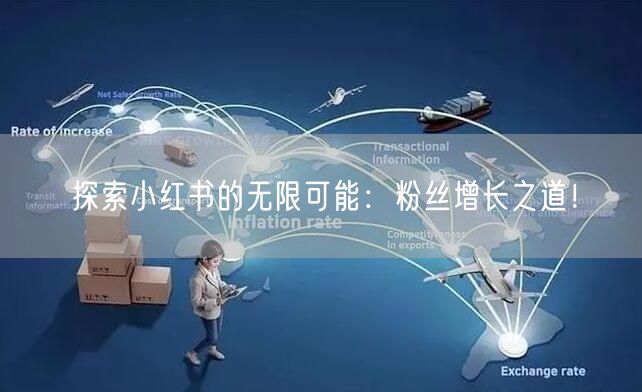 探索小红书的无限可能：粉丝增长之道！