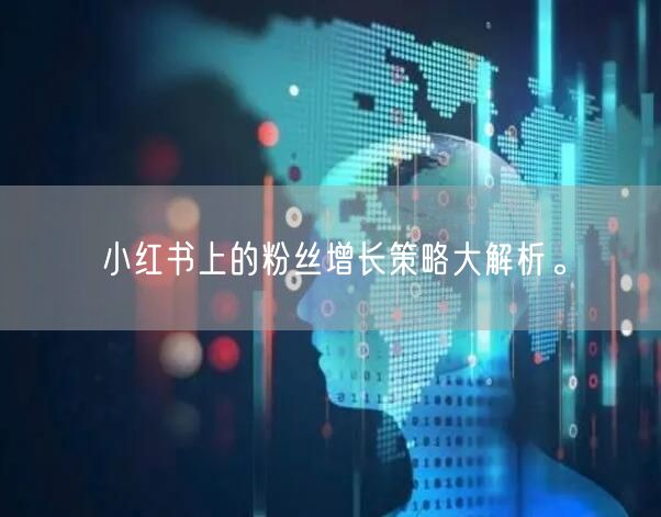 小红书上的粉丝增长策略大解析。