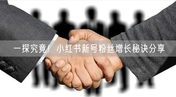 一探究竟！小红书新号粉丝增长秘诀分享