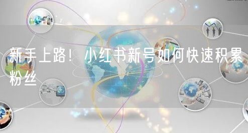 新手上路！小红书新号如何快速积累粉丝