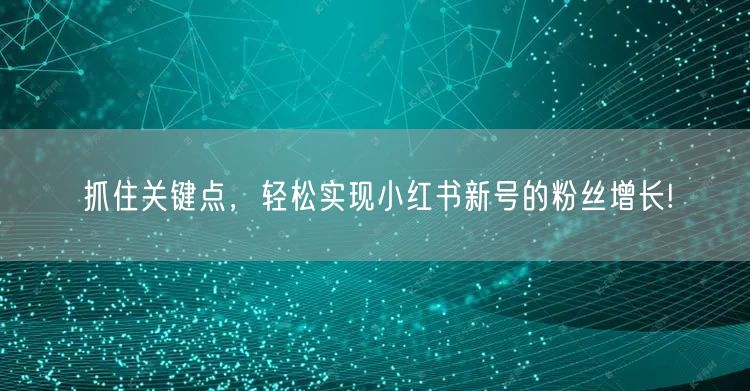 抓住关键点，轻松实现小红书新号的粉丝增长!