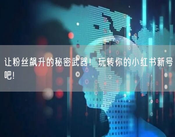 让粉丝飙升的秘密武器！玩转你的小红书新号吧!