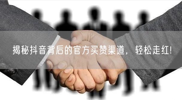揭秘抖音背后的官方买赞渠道，轻松走红!