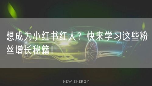 想成为小红书红人？快来学习这些粉丝增长秘籍！