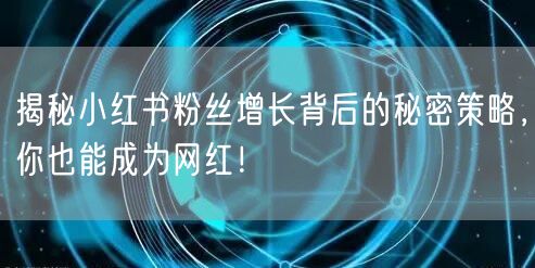 揭秘小红书粉丝增长背后的秘密策略，你也能成为网红！