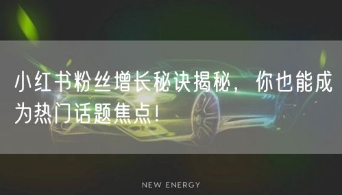 小红书粉丝增长秘诀揭秘，你也能成为热门话题焦点！