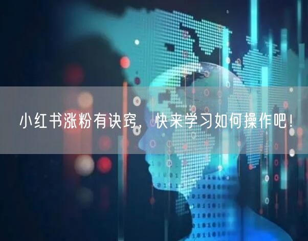 小红书涨粉有诀窍，快来学习如何操作吧！