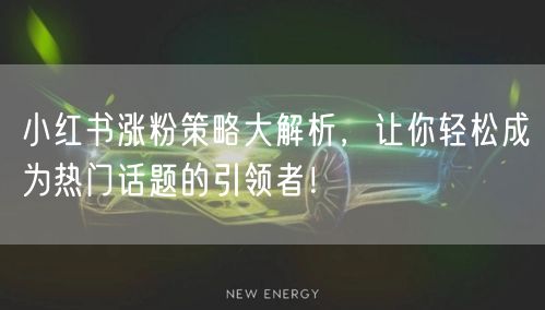 小红书涨粉策略大解析，让你轻松成为热门话题的引领者！