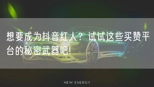 想要成为抖音红人？试试这些买赞平台的秘密武器吧!