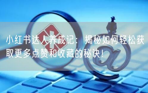 小红书达人养成记：揭秘如何轻松获取更多点赞和收藏的秘诀！
