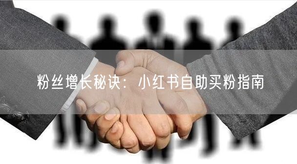 粉丝增长秘诀：小红书自助买粉指南