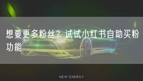 想要更多粉丝？试试小红书自助买粉功能