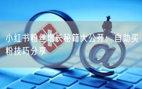 小红书粉丝增长秘籍大公开：自助买粉技巧分享