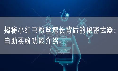 揭秘小红书粉丝增长背后的秘密武器：自助买粉功能介绍