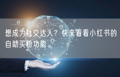 想成为社交达人？快来看看小红书的自助买粉功能。