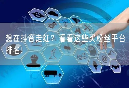 想在抖音走红？看看这些买粉丝平台排名！