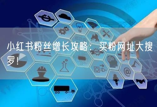 小红书粉丝增长攻略：买粉网址大搜罗！
