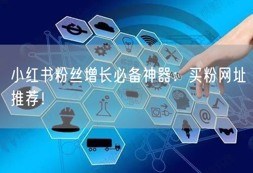 小红书粉丝增长必备神器：买粉网址推荐！