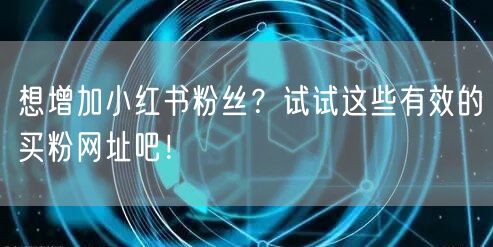 想增加小红书粉丝？试试这些有效的买粉网址吧！