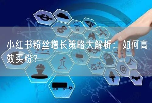 小红书粉丝增长策略大解析：如何高效买粉？