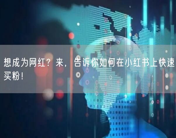 想成为网红？来，告诉你如何在小红书上快速买粉！