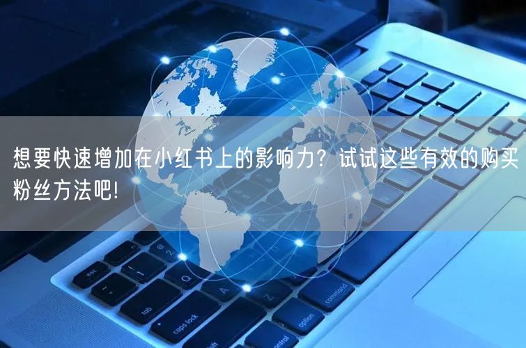 想要快速增加在小红书上的影响力？试试这些有效的购买粉丝方法吧!